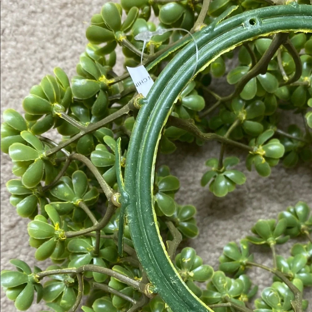 Green Succulent Wreath